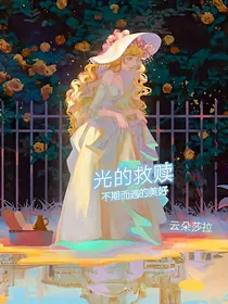凹凸世界：光的救赎
