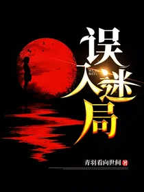 误入迷局（联动）