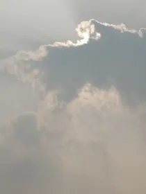 每日一文案