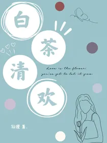 白茶与清欢