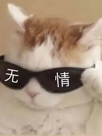 我靠美色镇天下