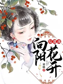 综谍战：向阳花开