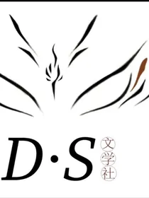 DS封面铺子