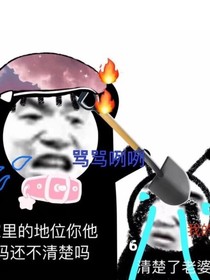 沙雕女主穿书记！