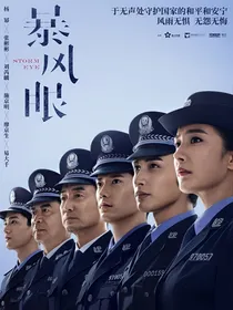 暴风眼：现代谍战