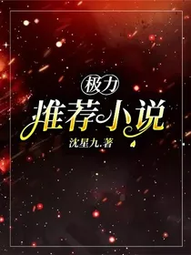 极力推荐小说
