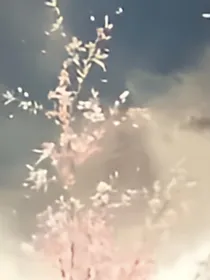 魂穿圣魂村：诸天选择系统