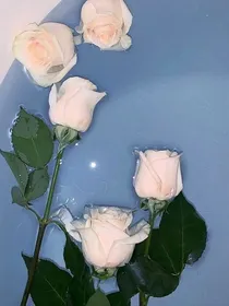 情深只忠于你