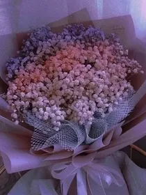 满天星辰赠与君