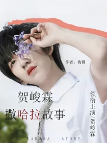 贺峻霖：撒哈拉故事