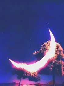 爷才不是玛丽苏