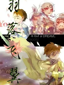 查理九世：羽落飞翼