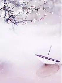 基本设定稿件