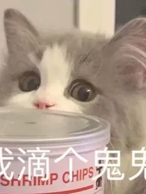 妖怪传