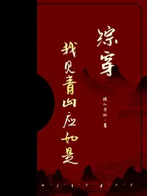 综穿：我见青山应如是
