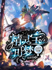 精灵宝可梦之日久月深