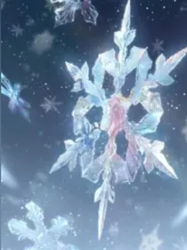 魔法世界之灿若繁星
