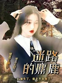 菜瓜封面铺