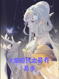 x龙时代之异界高手