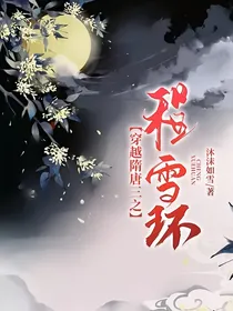 穿越隋唐三之程雪环