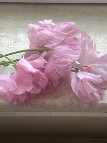 怪物大师：隐藏的角落