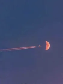 我的泪痣