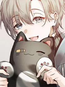 精致