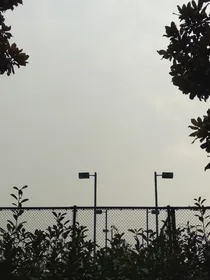 拯救那个她