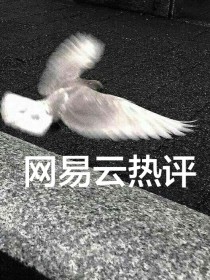 网易云音乐热评