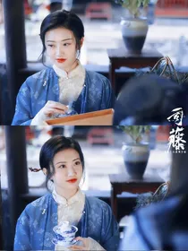 综影视：娇宠入骨