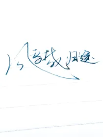 风雪载归途