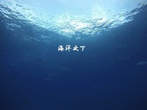海洋之下