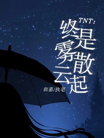 TNT：终是雾散云起-d390