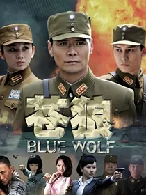 苍狼之神级抗战