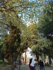 爱情故事与她
