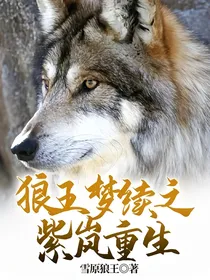 狼王梦续之紫岚重生