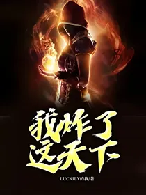 我炸了这天下
