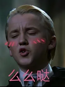 hp之仙后天龙