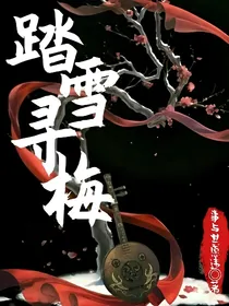 踏雪，寻梅
