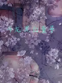 斗龙：黑白童子