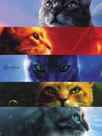 猫武士：疯猫手册