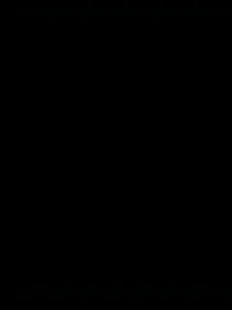 领航者