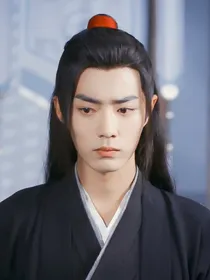 陈情令之魏无羡宠妻狂魔