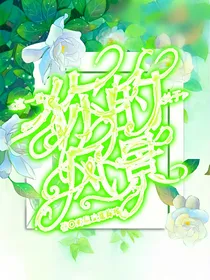 两世关于你的风景-d306