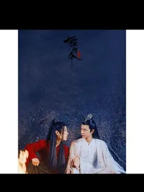 陈情令之蓝情无双