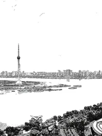 黑领带