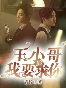 王小哥，我要追求你……