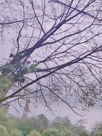 写小甜饼给自己吃