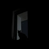 送你一束来自月球的光