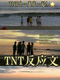 TNT反应文！
